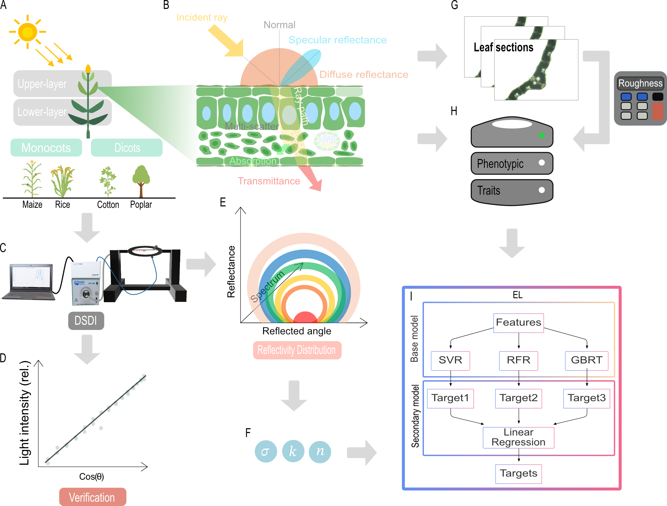 Directional spectrum measurement and BRDF prediction workflow