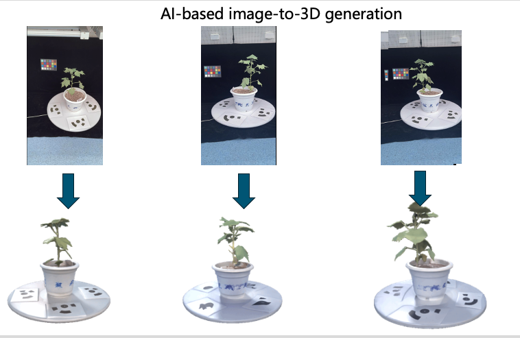 Hunyuan3D plant reconstruction